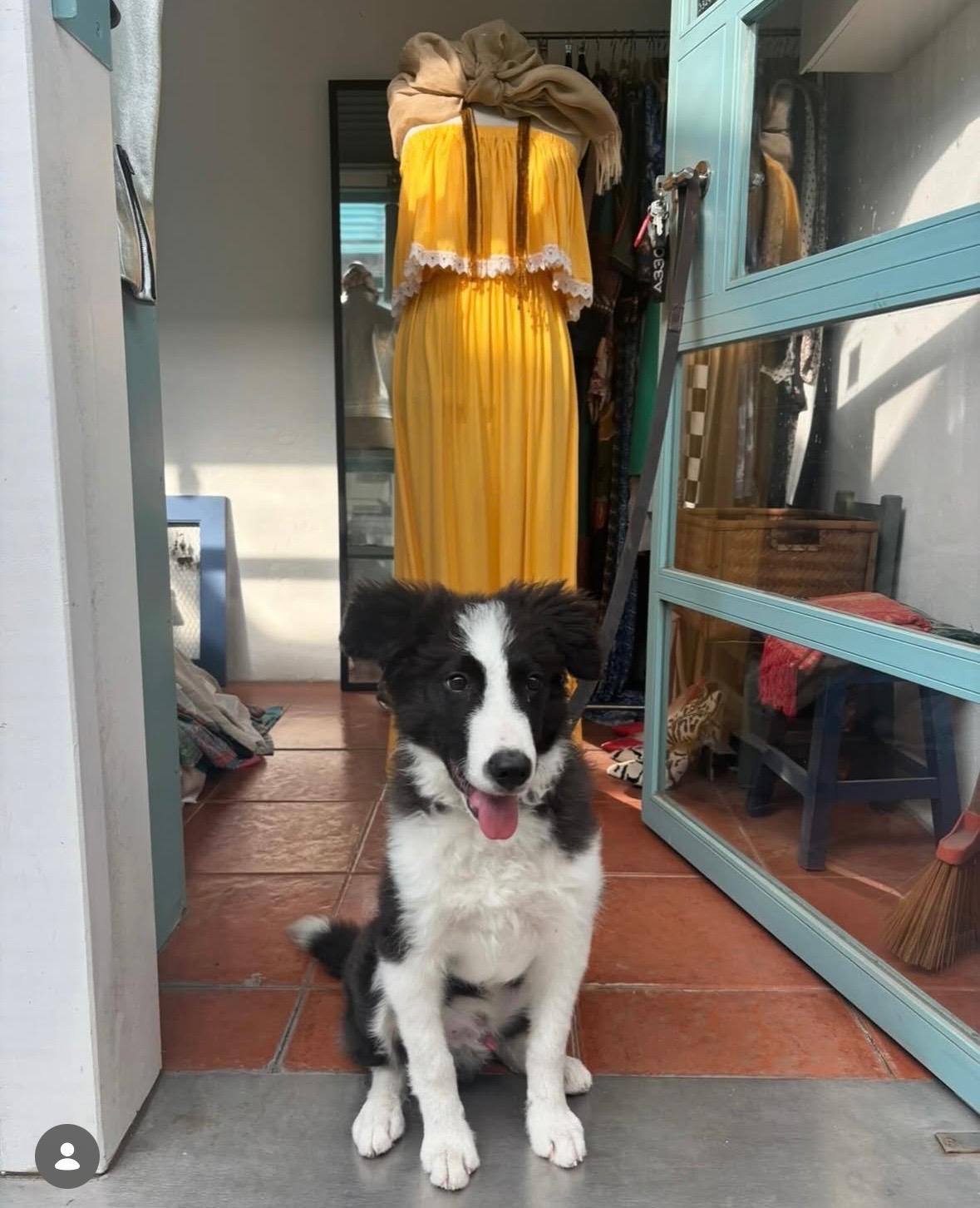 Ambiente Único